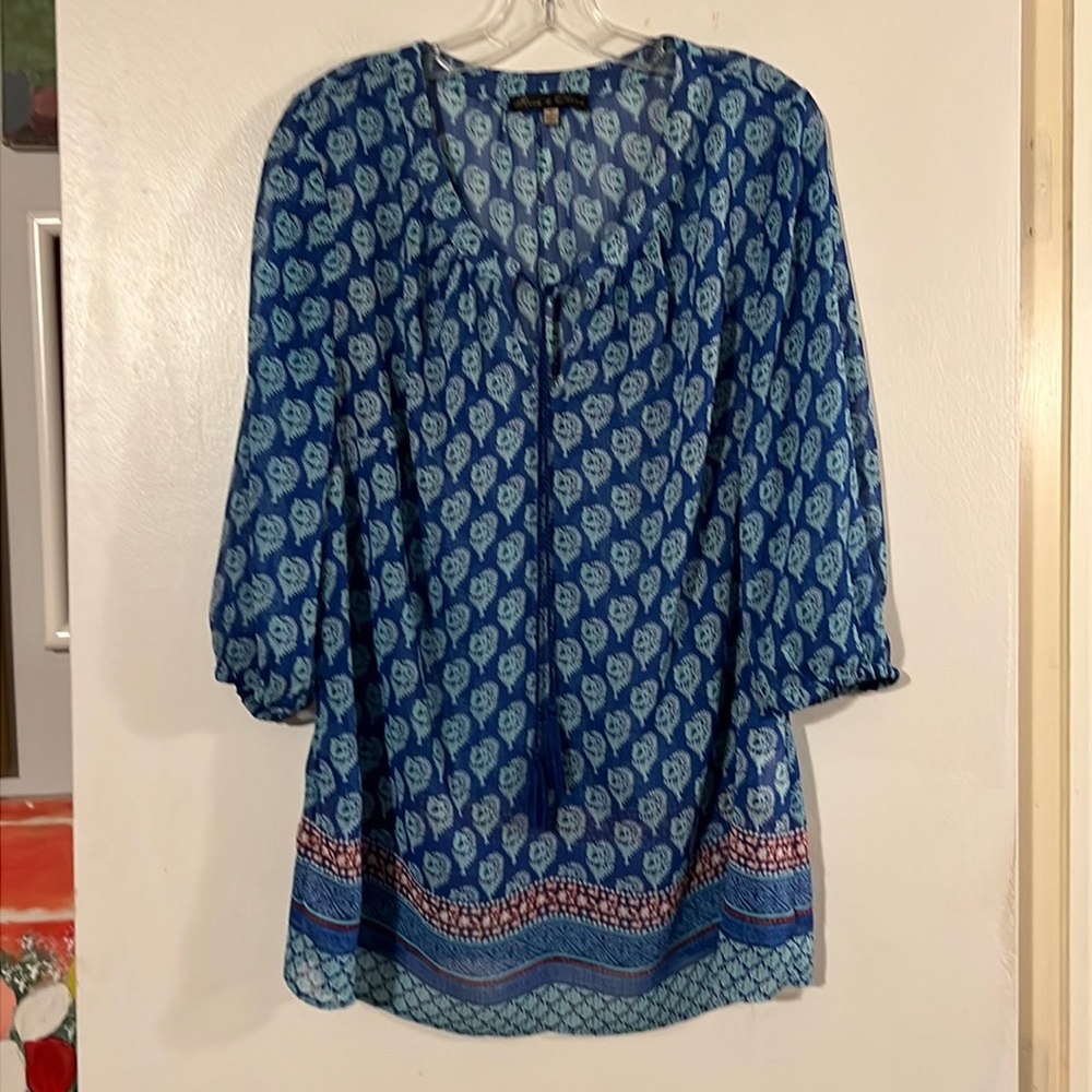 Rose & Olive multi color chiffon sheer tunic. 3/4 sleeve